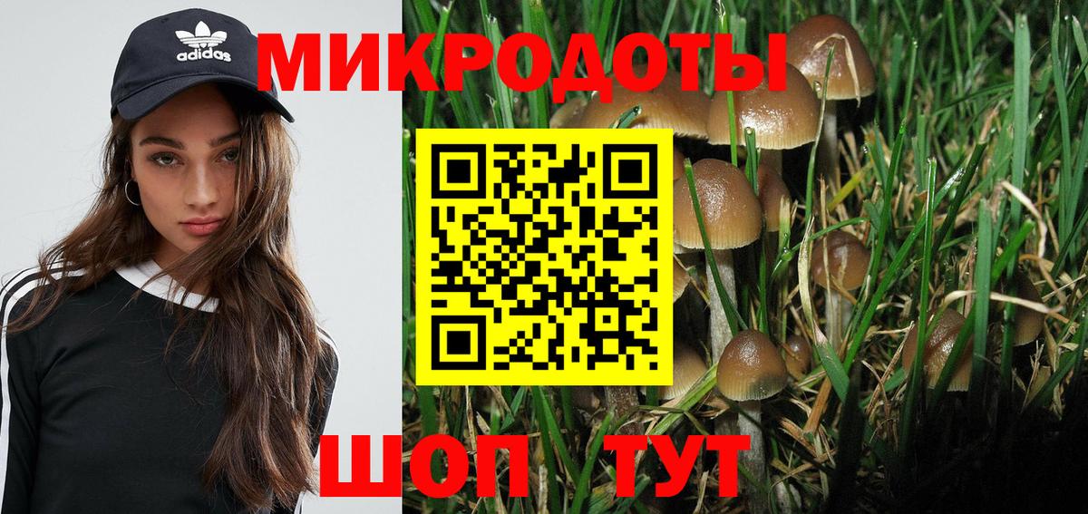 Псилоцибиновые грибы Cubensis  Вход с VPN  Лыткарино 